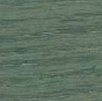 Eucalyptus Leaf Eucalyptus Leaf