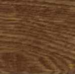 Coffee Bean* Coffee Bean